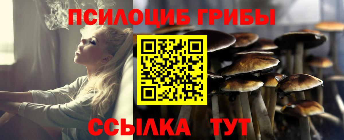 Балашов  Галлюциногенные грибы MAGIC MUSHROOMS  Вход с VPN 